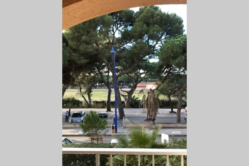 Apartament Studio Climatise Avec Wifi Au Calme Sur Le Port. Hyères